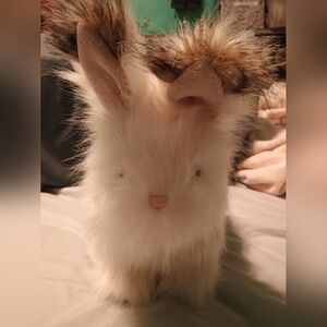 POTTERY BARN KIDS PBK White Arctic Hare Rabbit Bunny Plush Realistic Soft